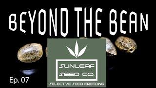 Sun Leaf Seed Co. - Beyond the Bean Ep. 07