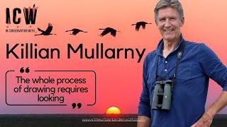 In Conservation With… Killian Mullarney