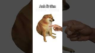 Gọi em là cut , anh là tôm #cheems #memes #viral #funny #doge #hàihước #xuhuong #xuhuongtiktok