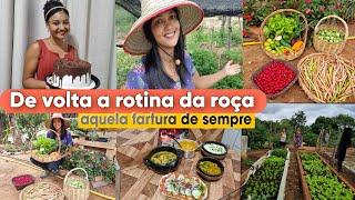 Parabéns para GABI dia de colheita e plantio na horta/ almoço no fogão de lenha/ visitando a sogra