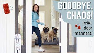 Door Manners For Dogs | 5 EASY Steps To Reclaim Control Over The Chaos | FORCE-FREE