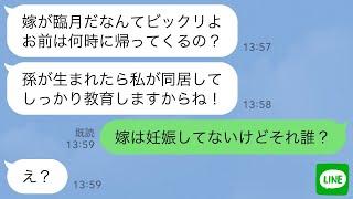 【LINE】嫁いびりで絶縁した母が俺達夫婦の家を突き止めて無理やり家に入ってきた「私に孫を育てさせろw」→意味が分からないので真実を伝えてあげた時の反応がwww