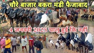 chaure bazar Bakra Mandi | chaure bazar Faizabad | Mandi chalu hui ki nahin ||