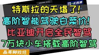 特斯拉的天塌了！比亚迪开启全民智驾！高阶智能驾驶直接白菜价！天神之眼智驾全系列搭载！7万块小车海鸥竟然有高阶智驾功能！比亚迪放大招！