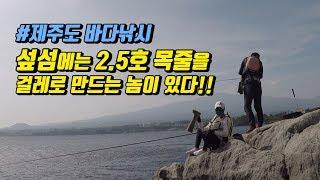 제주도 벵에돔 낚시- 섶섬 서쪽 간출여에는 2.5호 목줄을 날려버리는 괴물이 산다