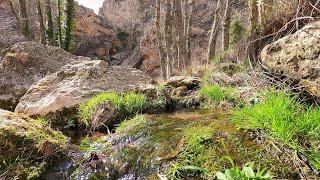 THE PEACEMAKER / SMALL RIVER IN WINTER, GENTLE WIND SOUNDS, RIVER LANDSCAPE, NATURE SOUNDS