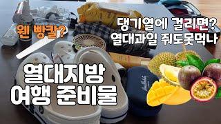 열대지방으로 해외여행갈때 꼭 챙겨야할 준비물 7가지