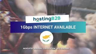 Dedicated Servers with 1Gbps in Cyprus Hosting