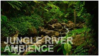PEACEFUL Sound of JUNGLE RIVER, for relax, study, work, HEALING, helps better sleeping