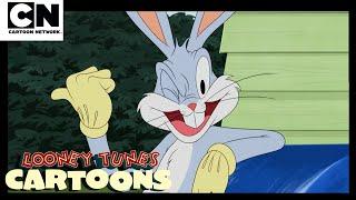 Snurre Snups samling af narrestreger | Looney Tunes Cartoons |  Dansk Cartoon Network