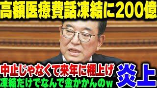 【炎上】石破内閣、高額医療制度見直し凍結に200億浪費した挙句、来年再来年でまた同じようなことをやろうとしている模様【ゆっくり会査閲】