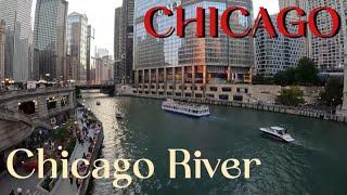 [미국/시카고 브이로그 #7] 시카고 누가 노잼 도시래? 감동의 시카고리버! (Chicago River)