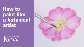 How to paint like a botanical artist