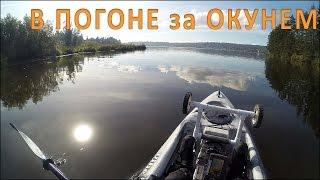 Рыбалка на Каяке на Окуней и Встреча с Орлом (Kayak Perch Fishing)