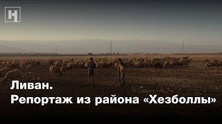 Ливан. Репортаж из района «Хезболлы»