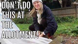 WEEDING, POTTERING AND SWEET PEA JOY! / SEPTEMBER ALLOTMENT UK