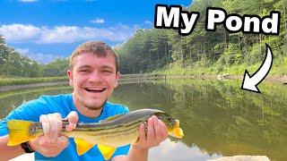 Catching the First Fish out of My Pond!