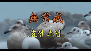 우리말무상계(無常戒) - 효성스님