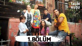 Talih Kuşu 1. Bölüm