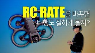 [아바타2 필수영상] 세상 쉬운 FPV RC 레이트 세팅하는 법, 스틱캠 그리고 몇 가지 TMI