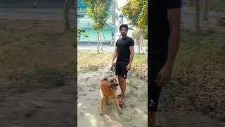 RAO SAHAB  #raosahab #yadav #priyanshuyadav #shorts #ytshorts