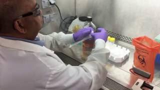 ECBC Explores Use of Gels for Biological Decontamination