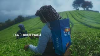 "Taazgi Bhari Pyaali Society Waali" - Society Tea’s new campaign is all about Freshness.