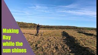 Making Hay while the sun shines