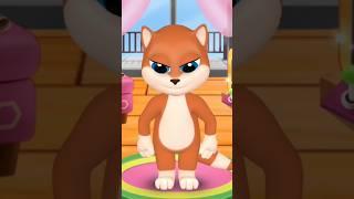 My talking cat bob 2 Tom #talkingtom #shortvideo