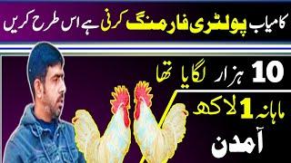 Fancy Hens Farming Small Business idea in Pakistan