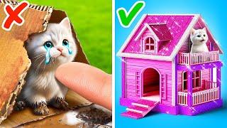 OMG!  I Built A Secret Room For My Kitten In A Dollhouse