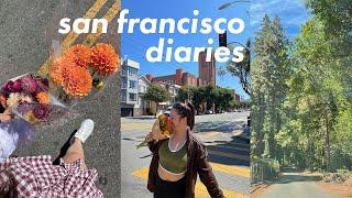 san francisco diaries | sunday farmers market, rooftop bars, and hiking in muir woods