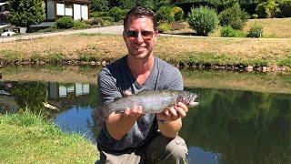 Trout fishing in a German Black Forest fishing pond (forelvissen)