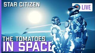 Mrs. Tomato & I Chat & Fly | Box Deliveries, Mining, or Salvage?