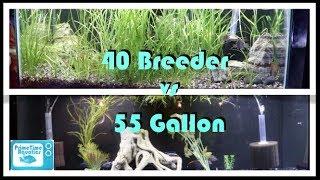 Fish Tank Showdown! 40 Gallon Breeder vs 55 Gallon Fish Tank: Which is Better?