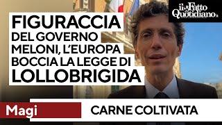 Carne coltivata, Magi: "Ennesima figuraccia del governo Meloni. L'Europa ha bocciato Lollobrigida"