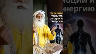 Первозданная алхимия: путь к себе через пять элементов