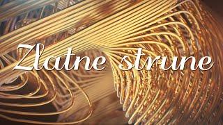 Zlatko Pejaković - Zlatne strune (Official lyric video)