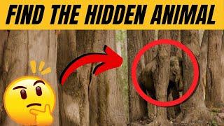 Find the Hidden Animals # 5
