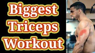 Biggest Triceps Workout.