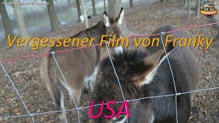 Vergessener Film von Franky / USA / # 572