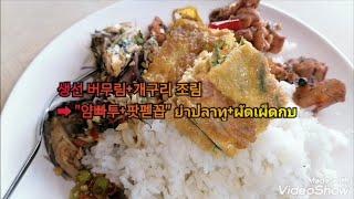 생선 버무림+개구리 조림  "​얌빠투+팟펟꼽" ยำปลาทู​+ผัดเผ็ดกบ 태국 (이싼อีสาน) 먹거리(3,278)