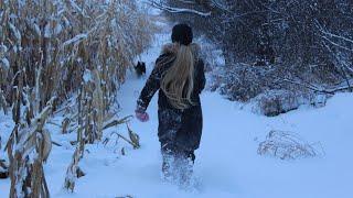 The Beauty of a Canadian Winter...a Magical Journey through the Lens.