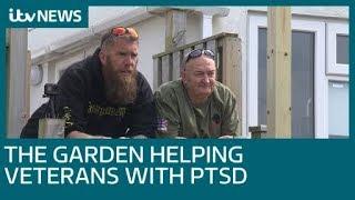 The garden helping veterans with PTSD | ITV News