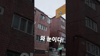 학교 가다가 눈와서 찍음 #학교 #상숭심강 #눈