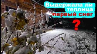 #232 Первый снег: что стало с теплицей?