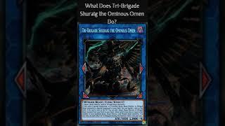 What Does Tri-Brigade Shuraig the Ominous Omen Do? (Yugioh Cards Explained for Easy Deck Building)