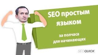 SEO для начинающих: Обзор материалов для обучения