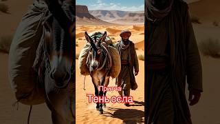 Мудрая притча #притча #мудрость #мудрыемысли #истории #осознанность #люди #поучительно #смысл