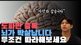 도파민 중독, 당신의 뇌가 박살나는 이유